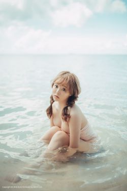 黑道家族